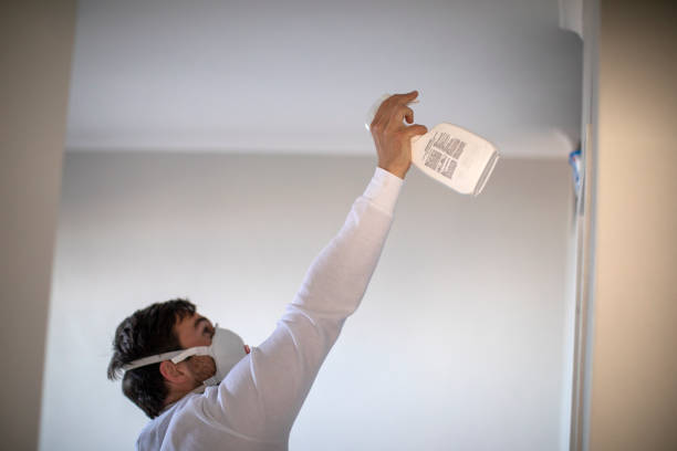 Best Home Mold Removal  in Port St John, FL