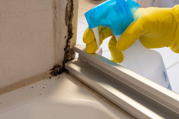 Best Residential Mold Removal  in Port St John, FL