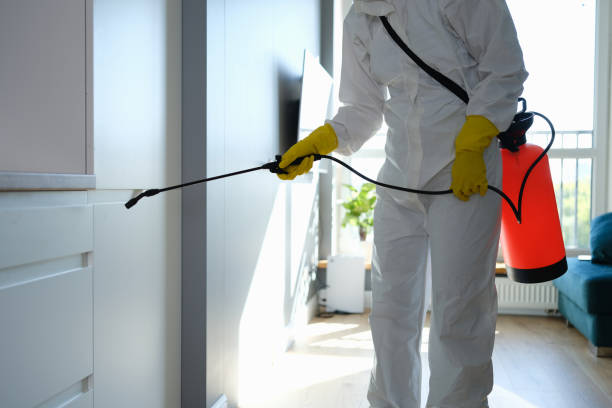 Best Commercial Mold Removal  in Port St John, FL